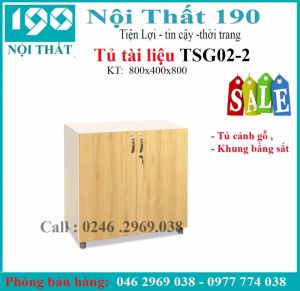 Tủ sắt cánh gỗ TSG02-2