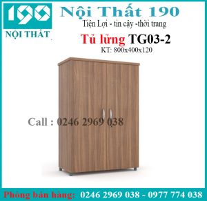 Tủ tài liệu thấp TG03-2