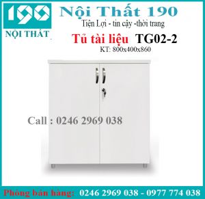 Tủ tài liệu thấp TG02-2