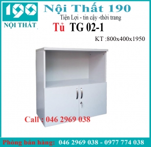 Tủ tài liệu thấp TG02-1