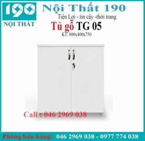 Tủ tài liệu thấp TG05