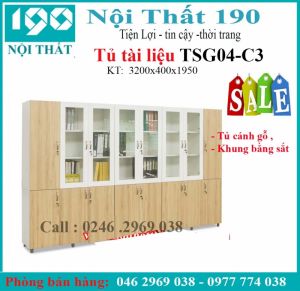 Tủ sắt cánh gỗ TSG04-C3
