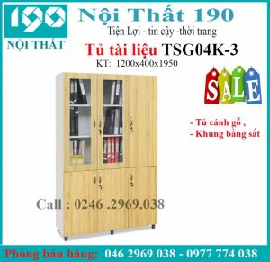 Tủ sắt cánh gỗ TSG04K-3
