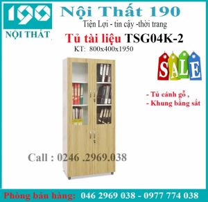 Tủ sắt cánh gỗ TSG04K-2