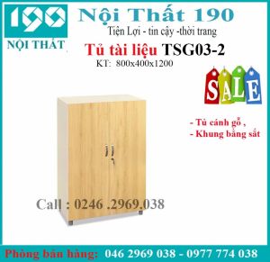 Tủ sắt cánh gỗ TSG03-2