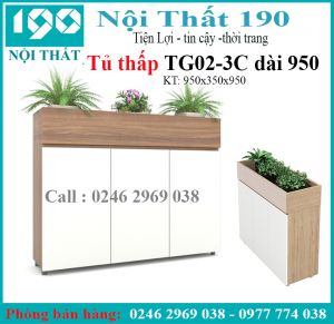 Tủ tài liệu thấp TG02-3 dài 950