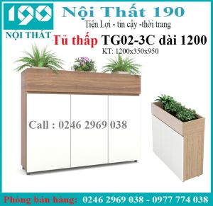 Tủ tài liệu thấp TG02-3 dài 1200